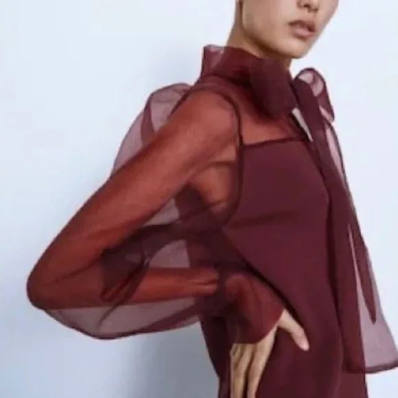 Zara organza dress semi sheer burgundy - Picture 2 of 6